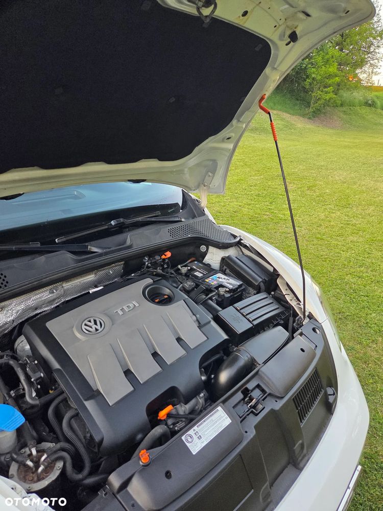 Volkswagen Beetle 1.6 TDI - 19