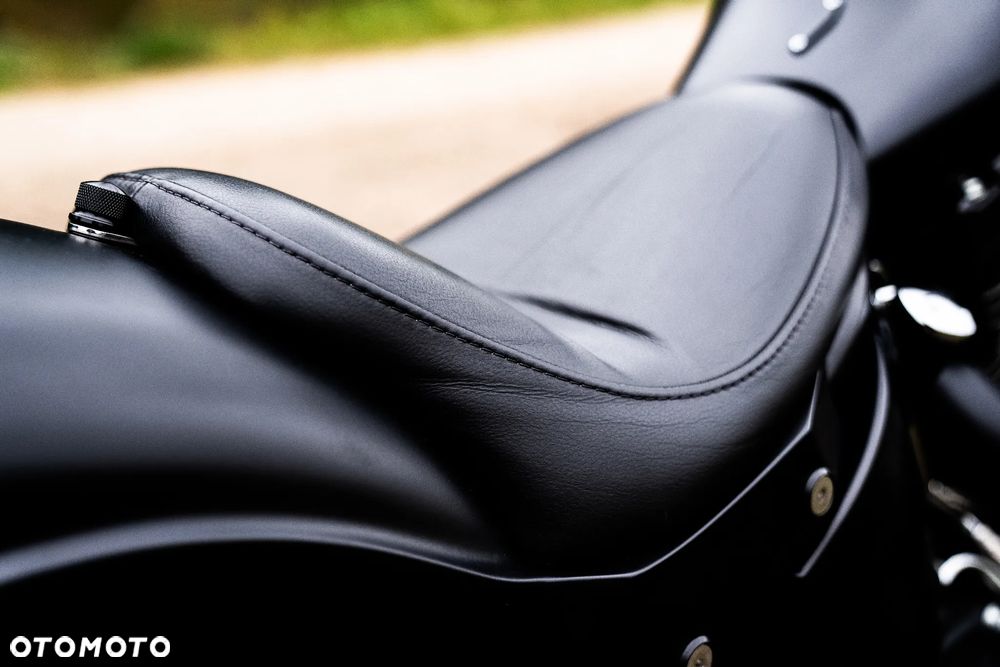 Harley-Davidson Softail Custom - 30
