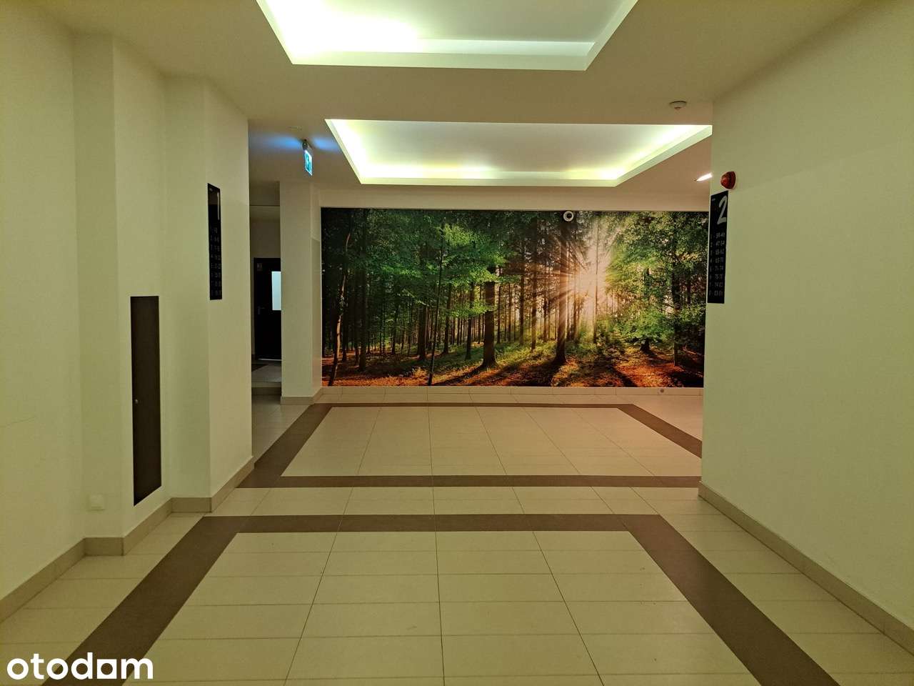 Bezpośrenio 2 pokoje, pętla Winnica (180m), tramwaj Młociny (25 minut)