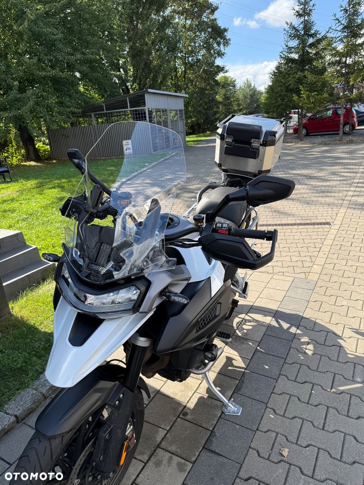 Triumph Tiger - 5