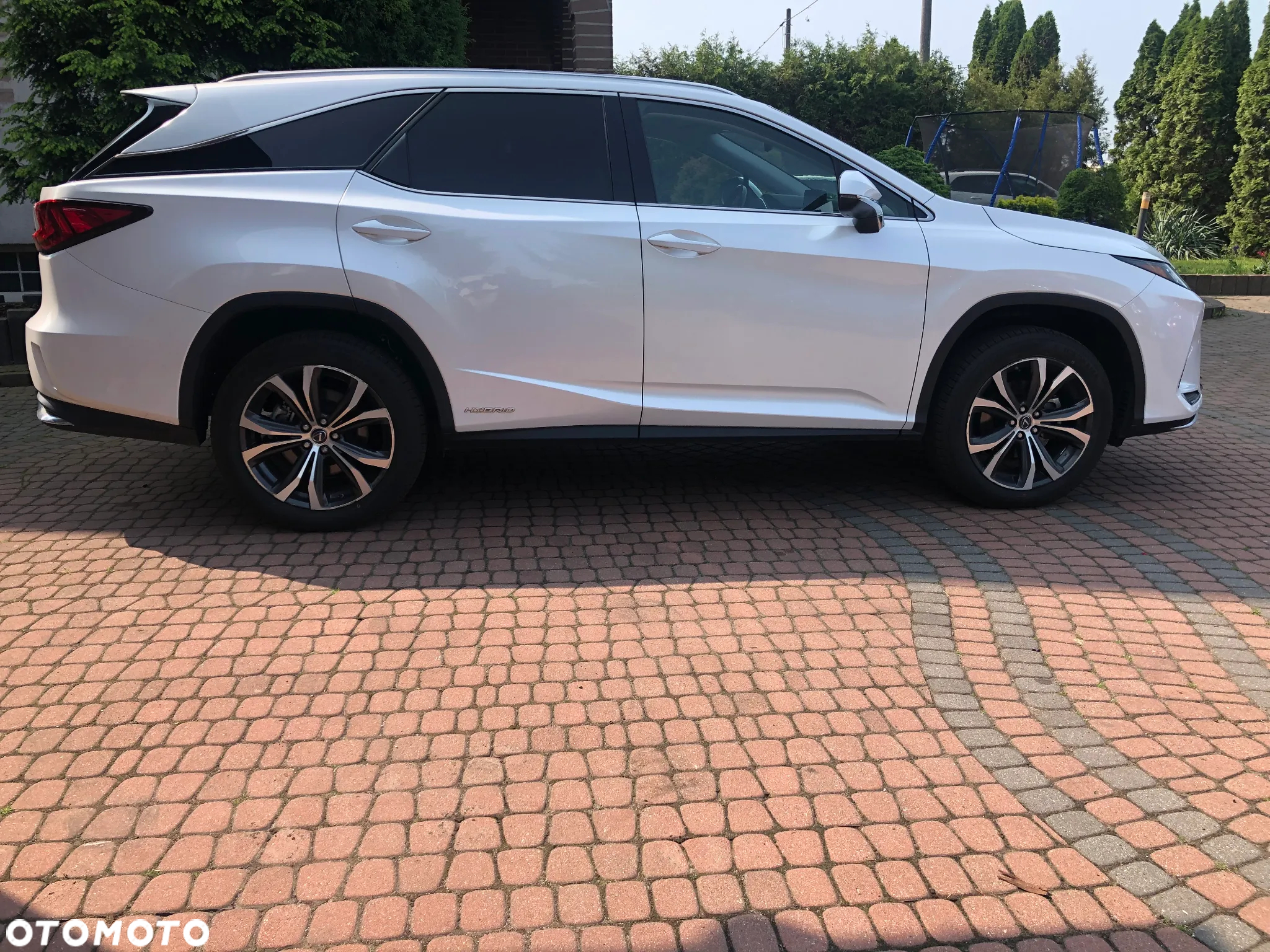Lexus RX - 10