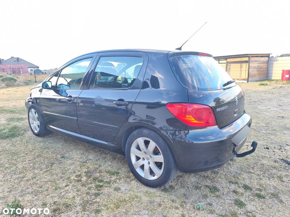 Peugeot 307 1.6 - 7