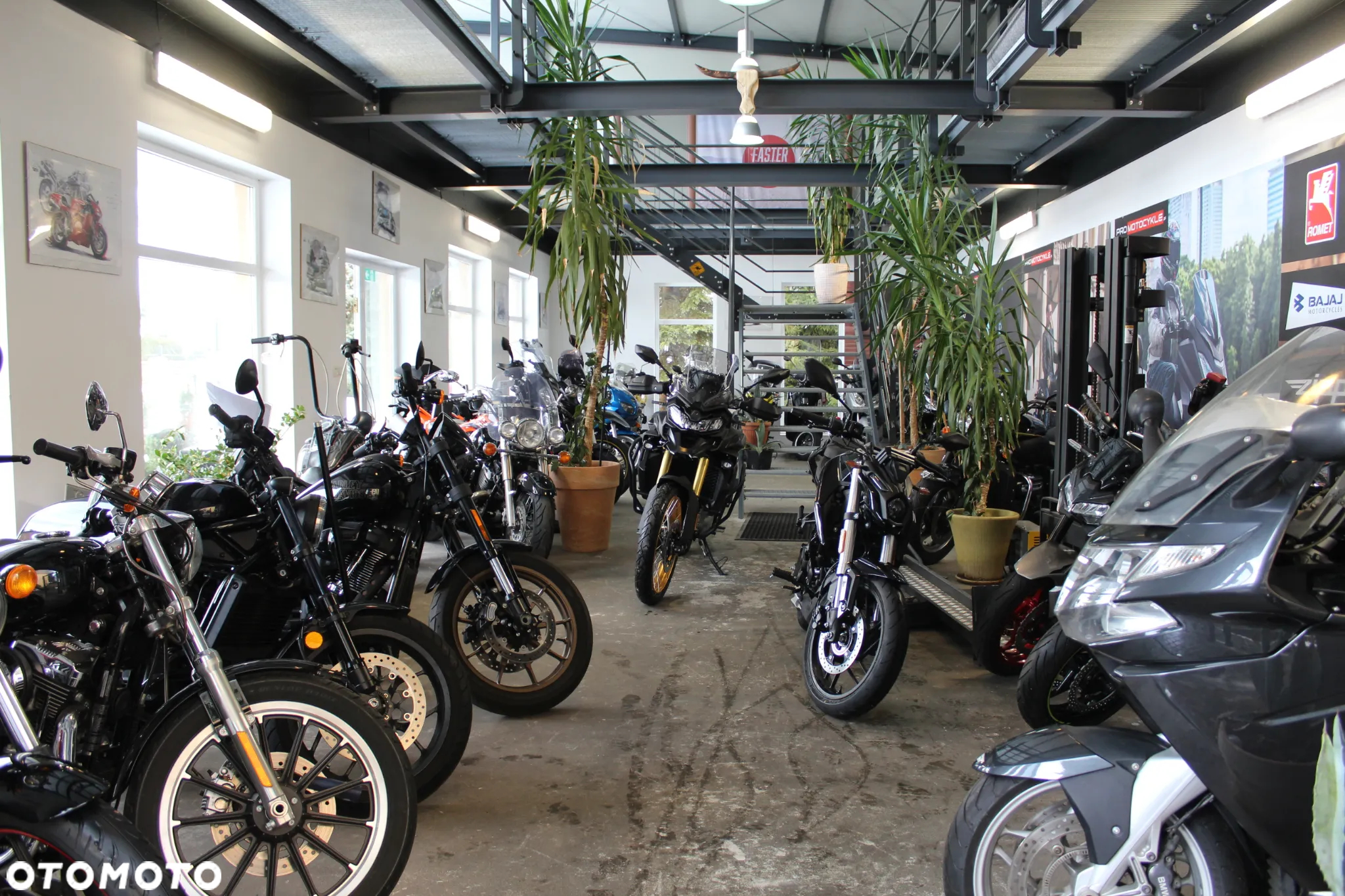 Harley-Davidson Sportster Custom 1200C - 15