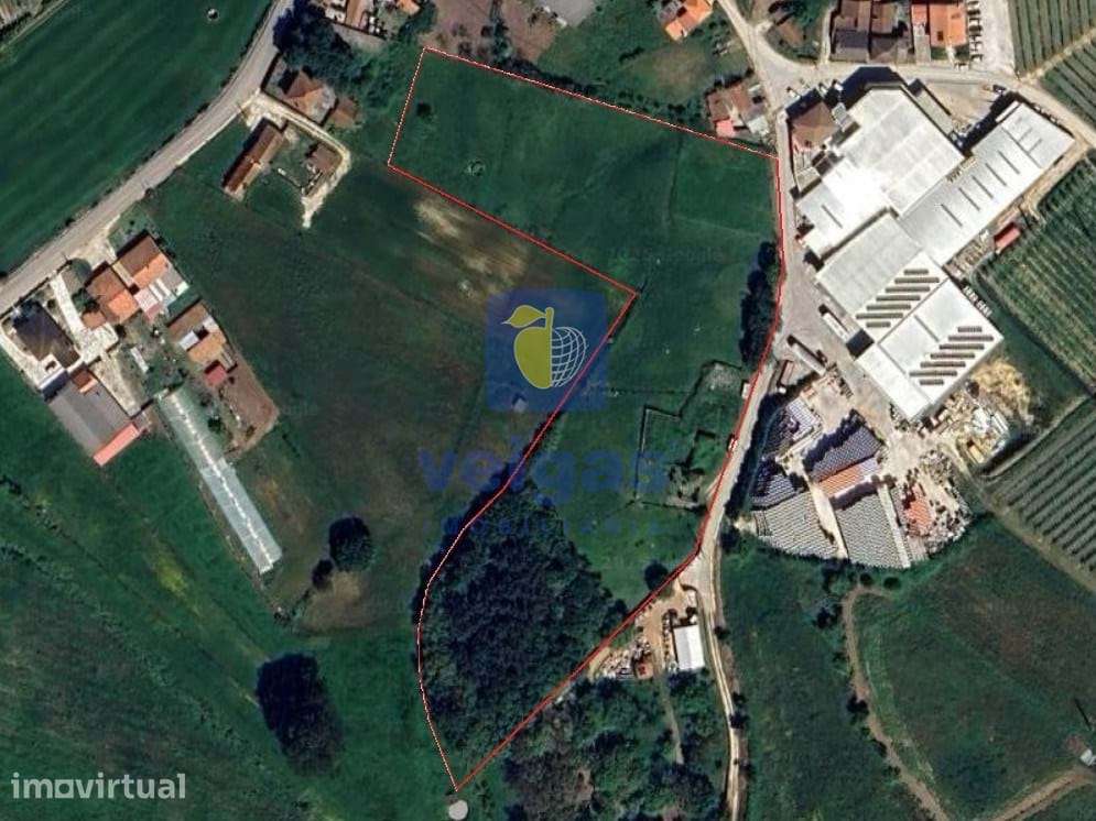 Terreno urbano com 15.867 m2 em Cela, Alcobaça,  e ruína de 336,30 m2 - Grande imagem: 2/27