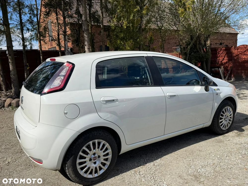 Fiat Punto 1.2 Young - 4