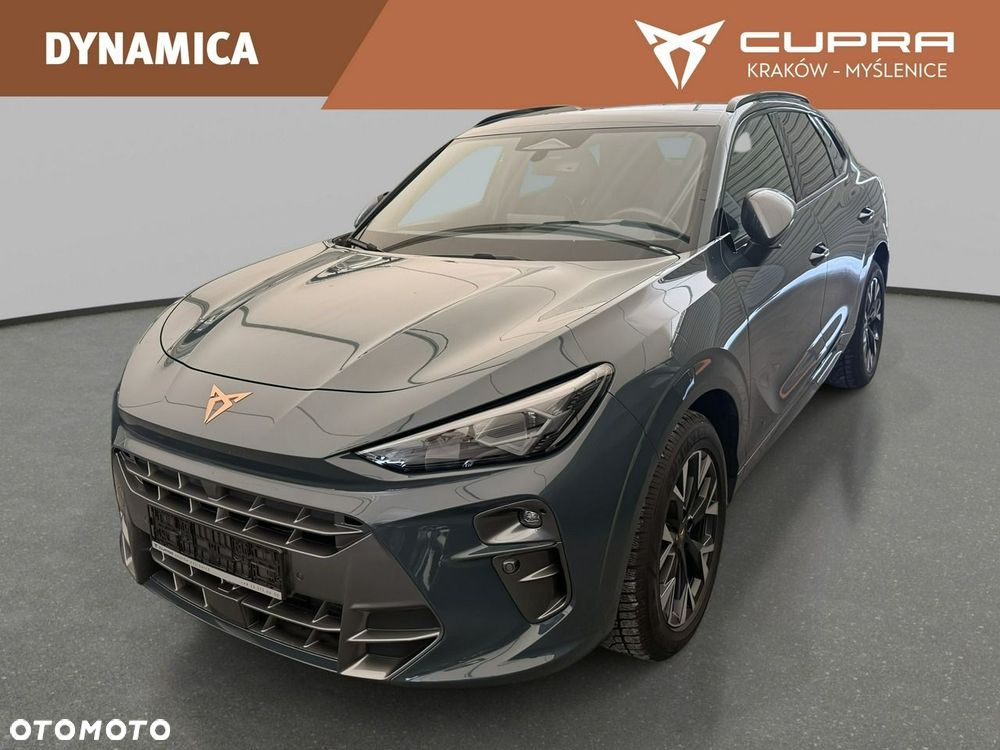 Cupra Terramar - 13