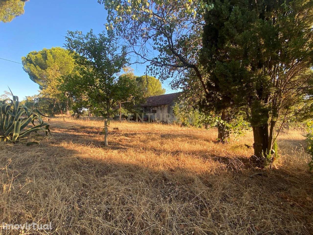 Herdade , Lousa, Castelo Branco - Grande imagem: 3/8