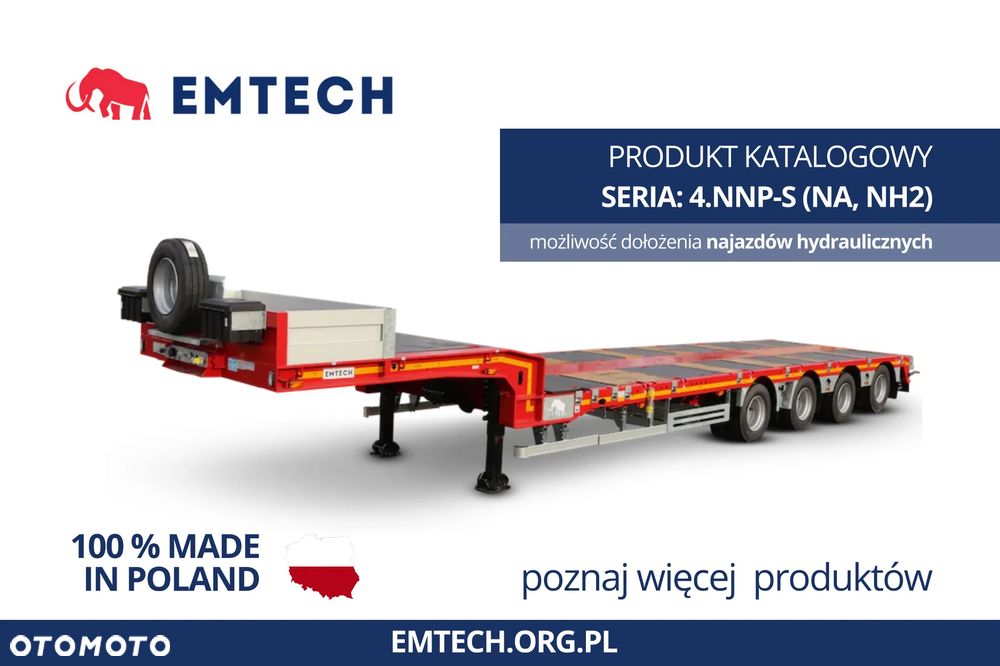 EMTECH SERIA NNP TYP: 4.NNP-S-2N (NA, NH2)