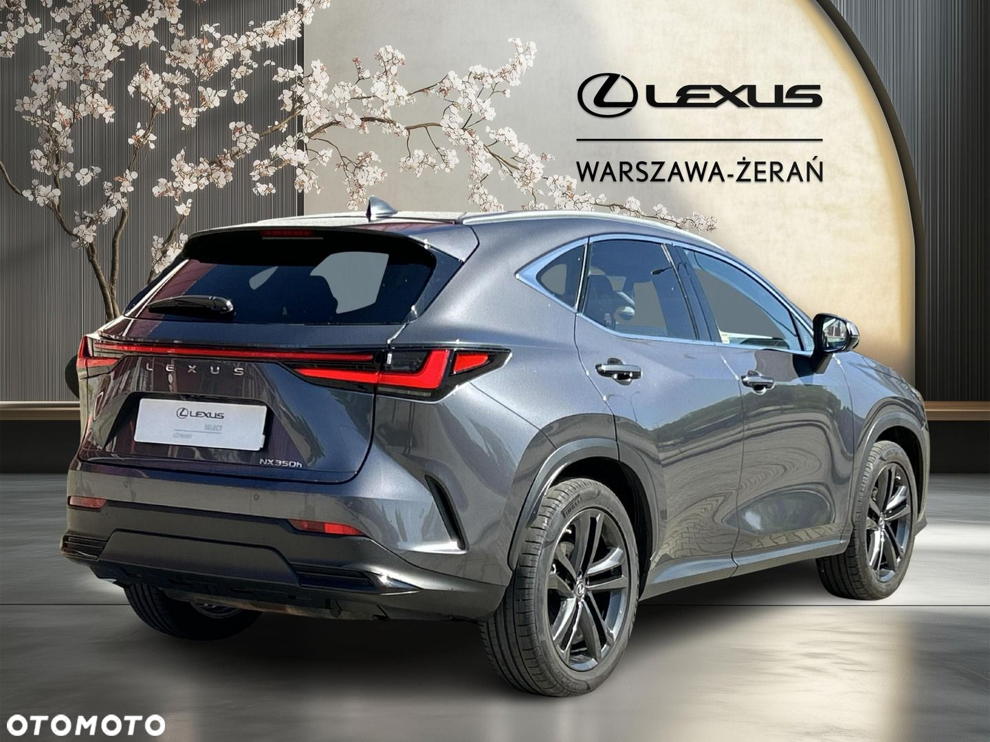Lexus NX - 6