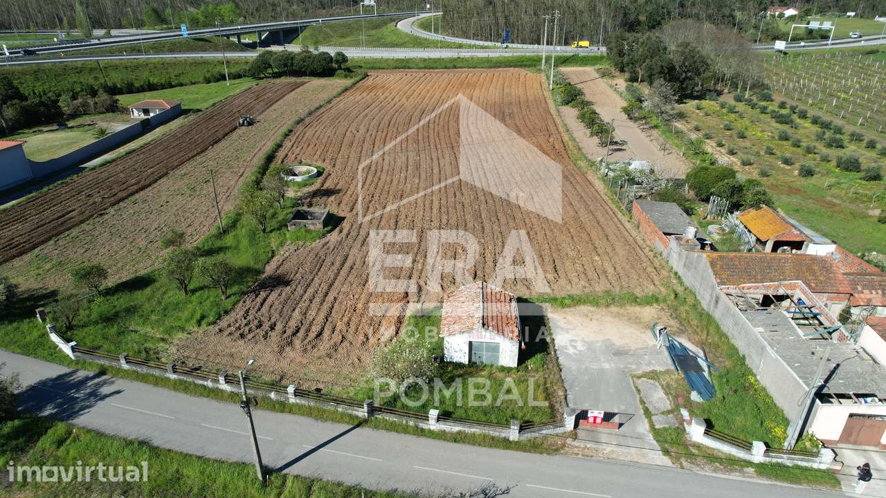 Terreno de 8184m2 em Louriçal, Pombal - Grande imagem: 5/6