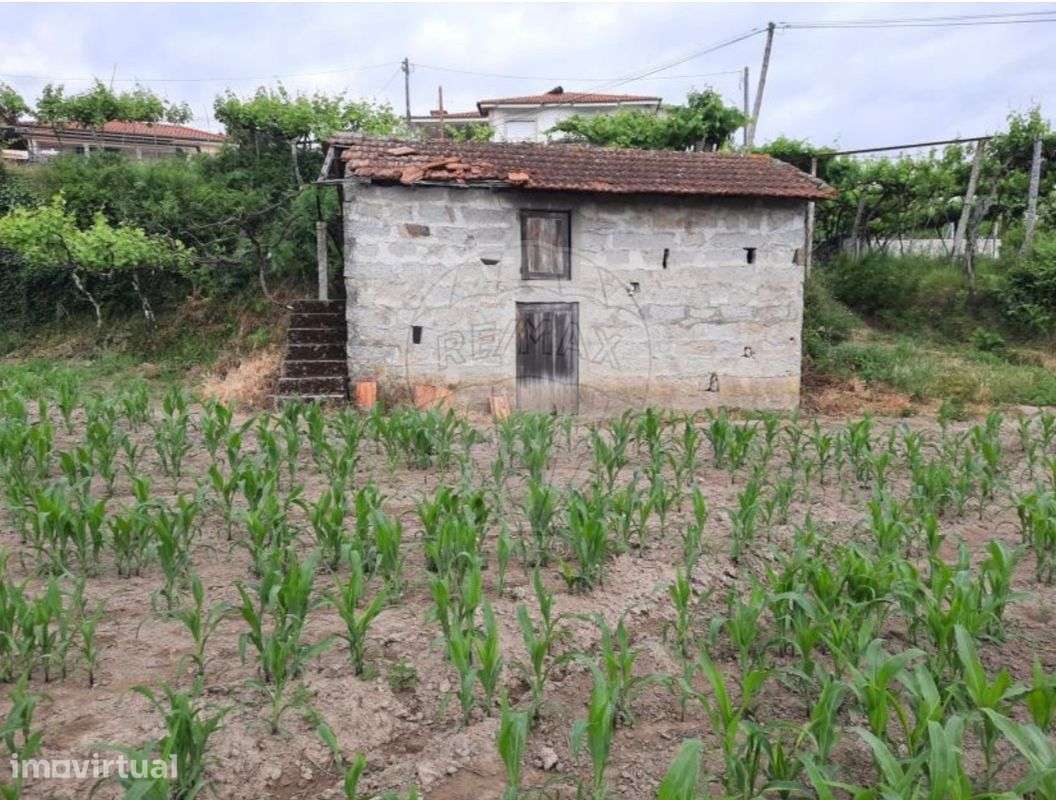 Terreno  para venda - Grande imagem: 3/5