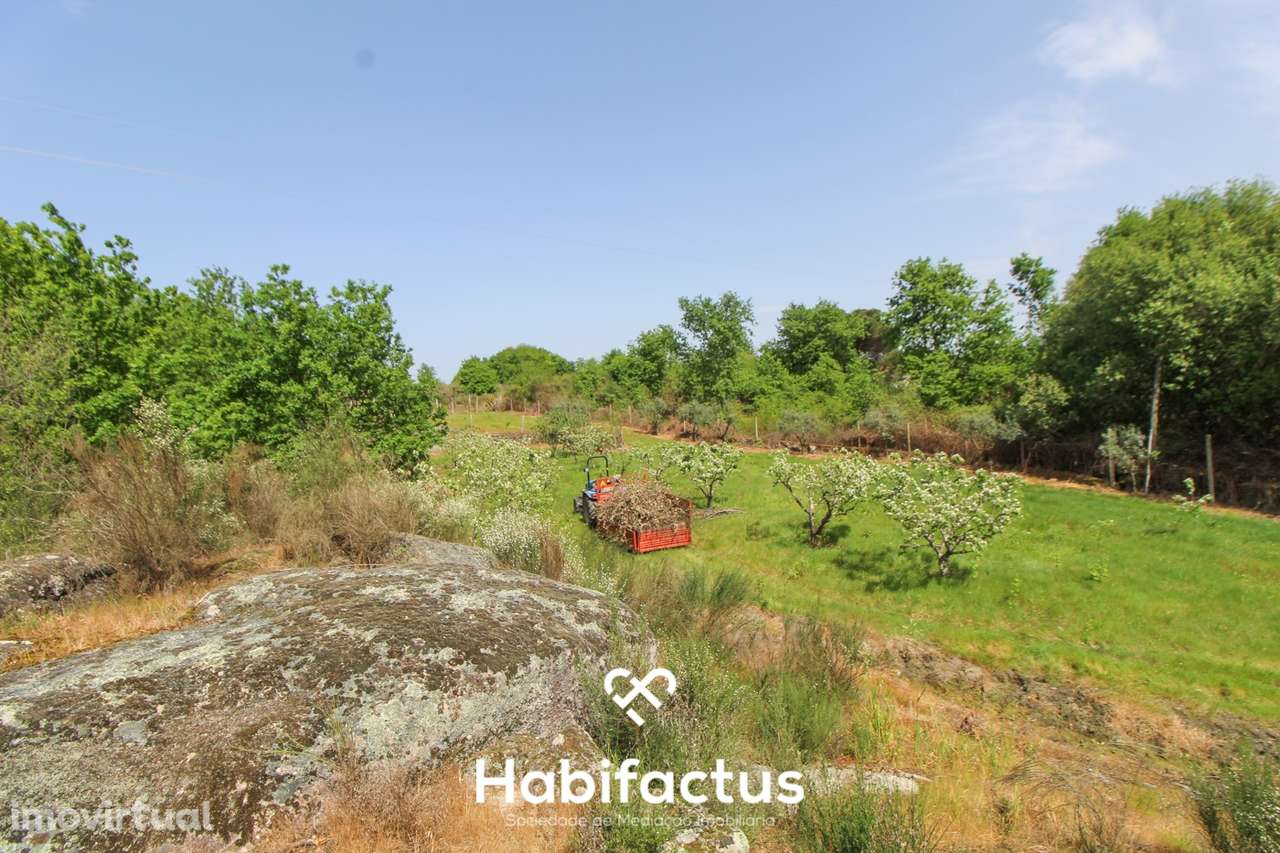 Terreno Agrícola com Vista Desafogada e Grande Potencial – 9.896 m² - Grande imagem: 5/30