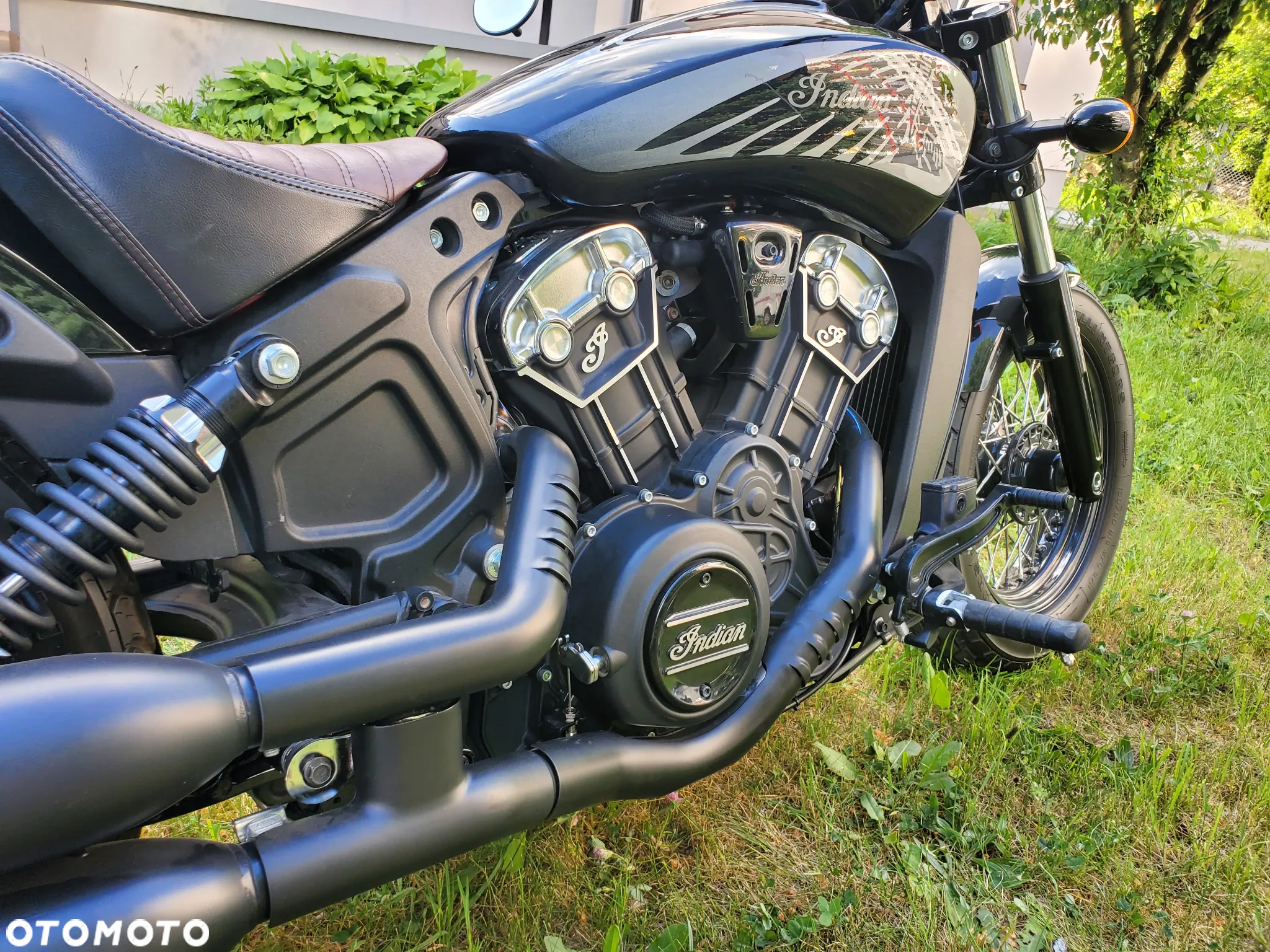 Indian Scout - 6