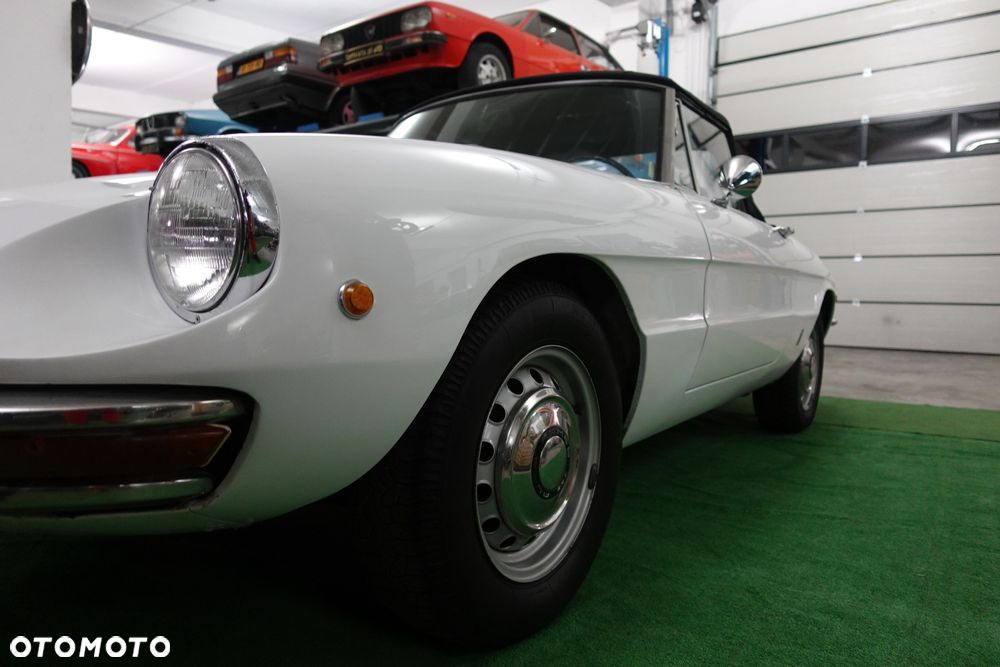 Alfa Romeo Spider - 37