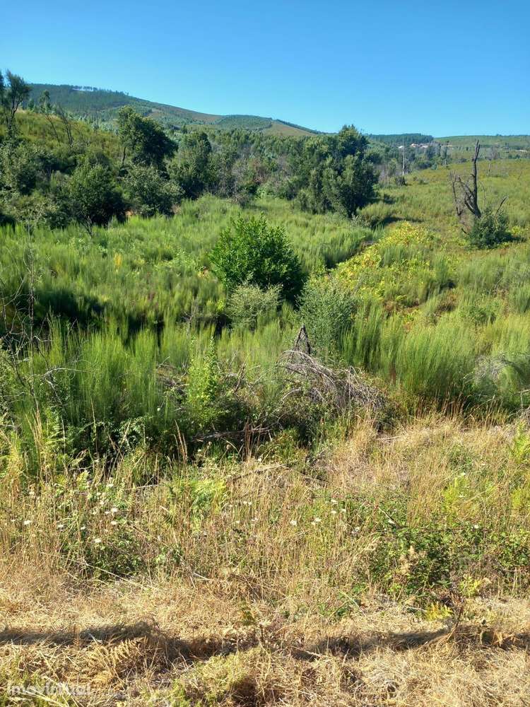 Terreno Roqueiro, Estreito - Grande imagem: 4/4