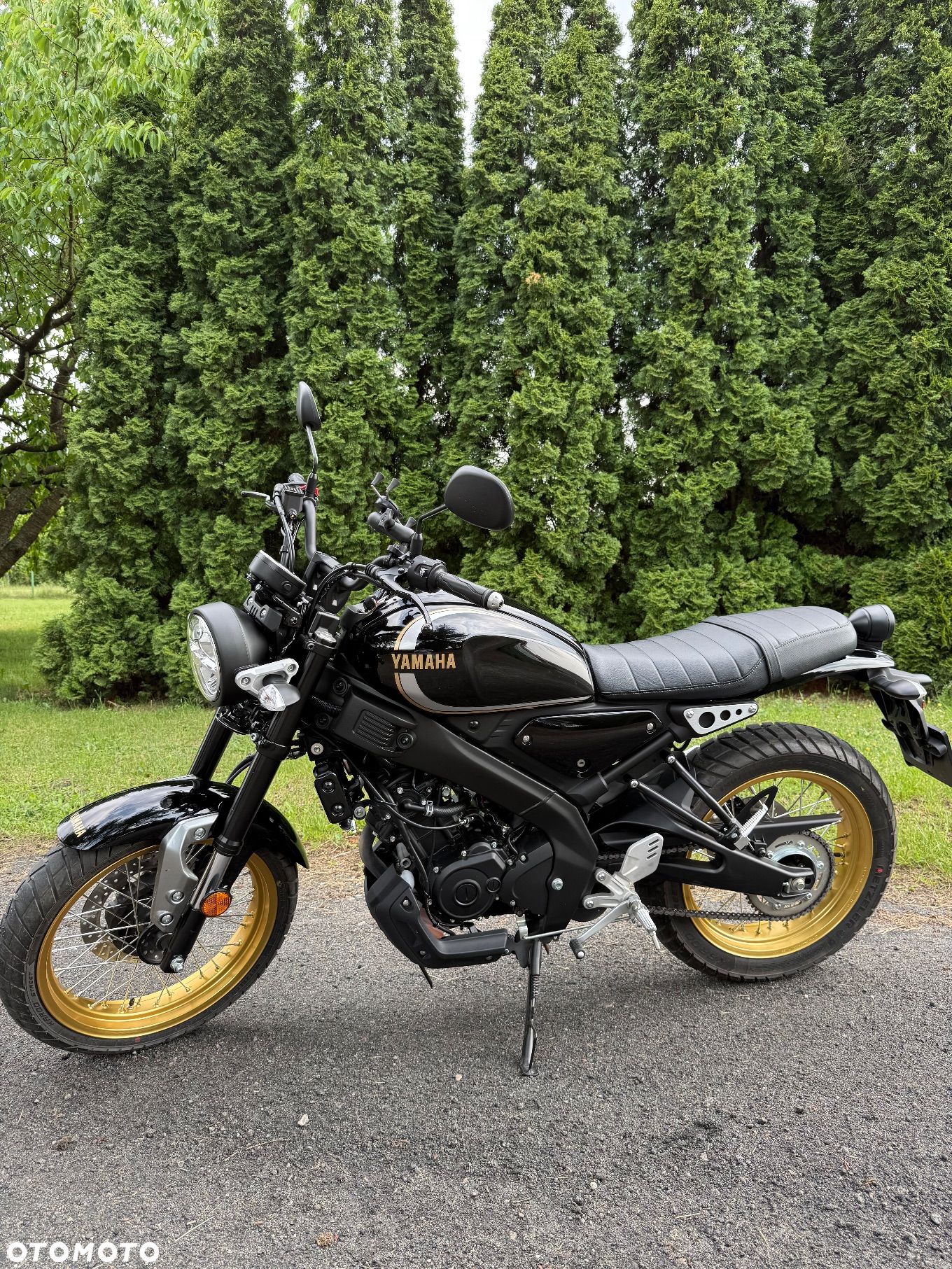 Yamaha XSR - 1