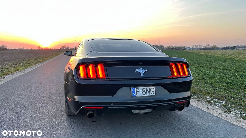 Ford Mustang 3.7 V6 - 5