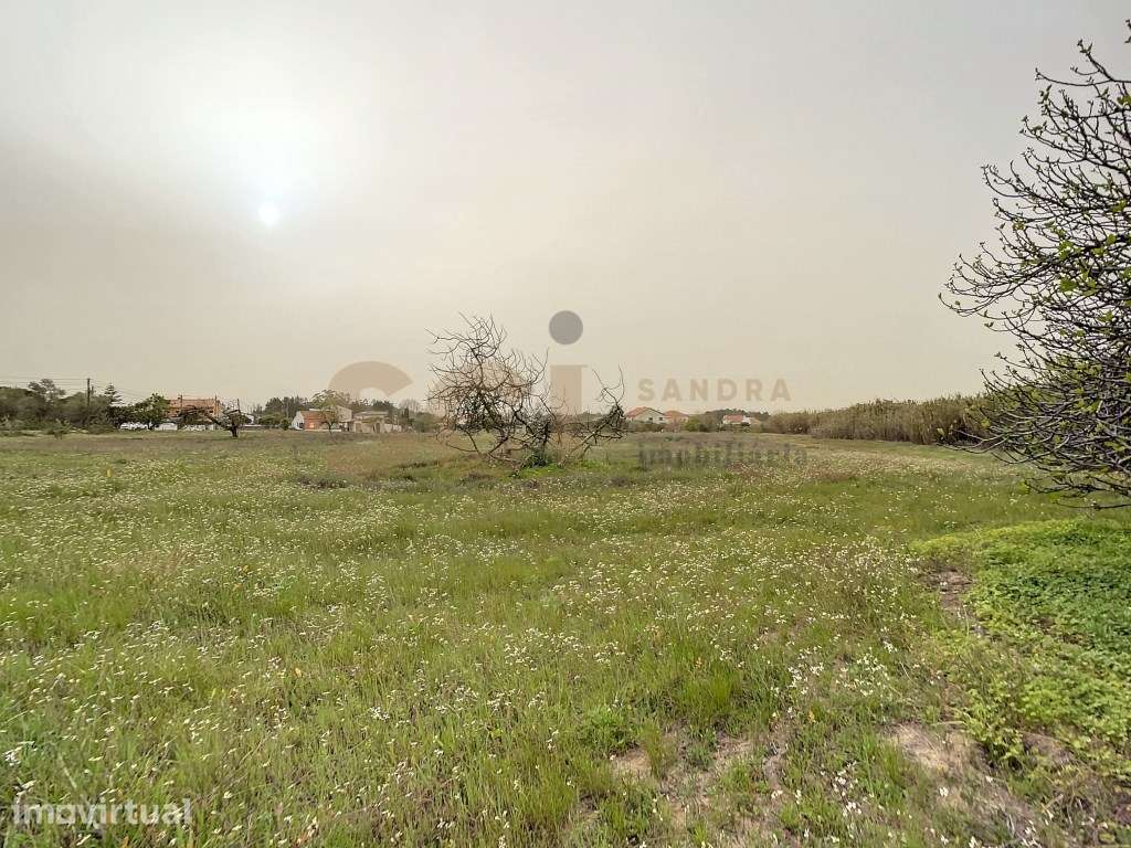 Terreno Urbano Quinta do Anjo, PIP análise para 16 moradias. - Grande imagem: 2/22