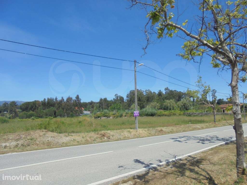 Terrenos Rústicos Tondela - Grande imagem: 4/8