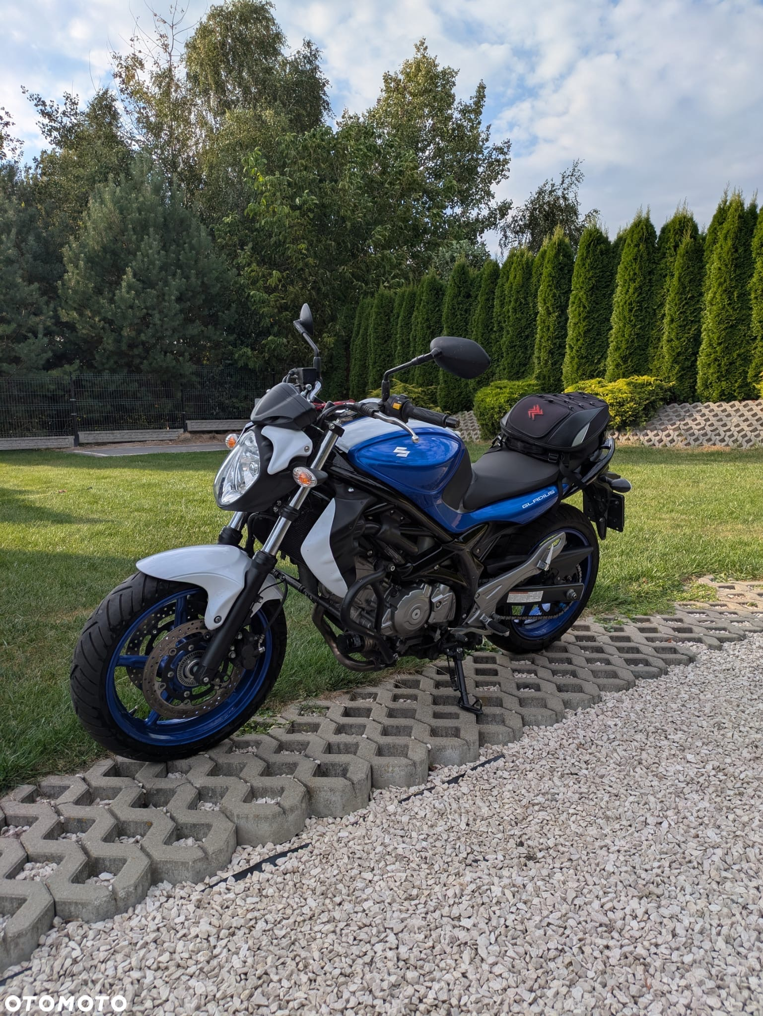 Suzuki Gladius - 2