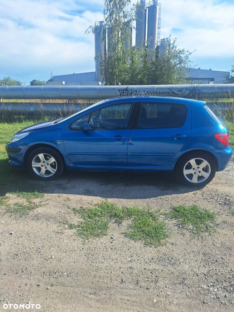 Peugeot 307 - 5