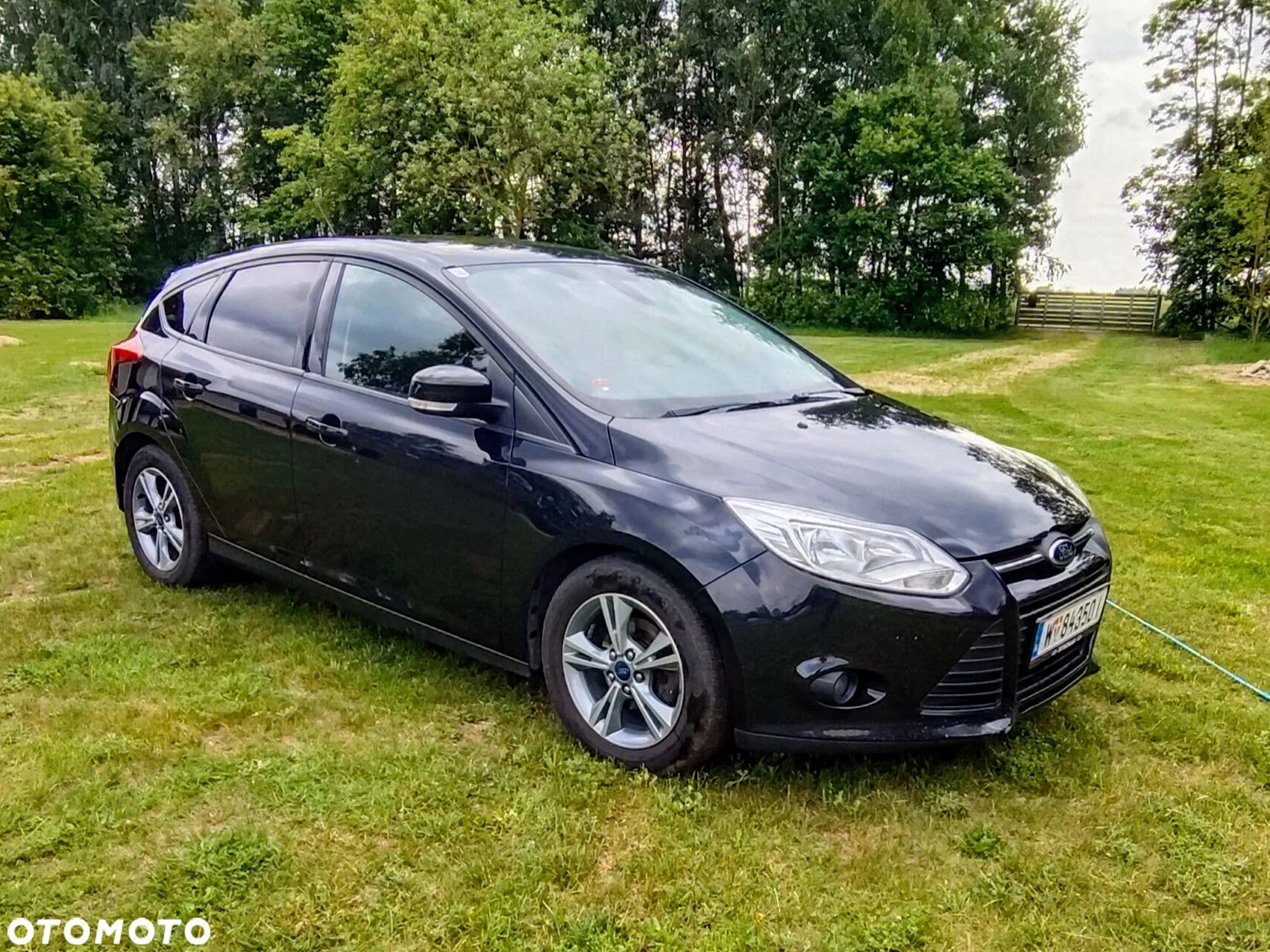 Ford Focus - 1