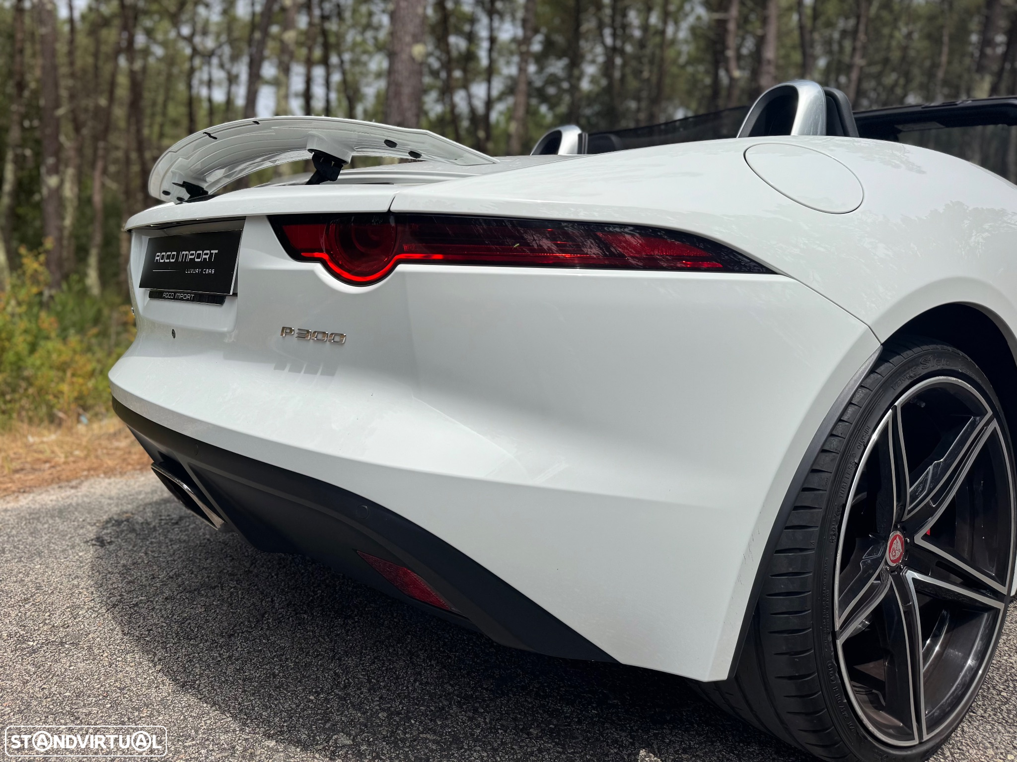 Jaguar F-Type Cabriolet P300 Aut. First Edition - 19