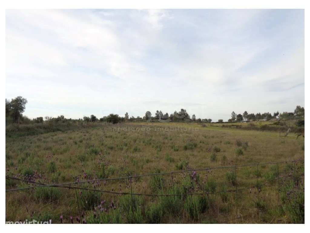 Excelente Terreno Rústico com Poço e Cultura Arvense em São Miguel ... - Grande imagem: 5/6