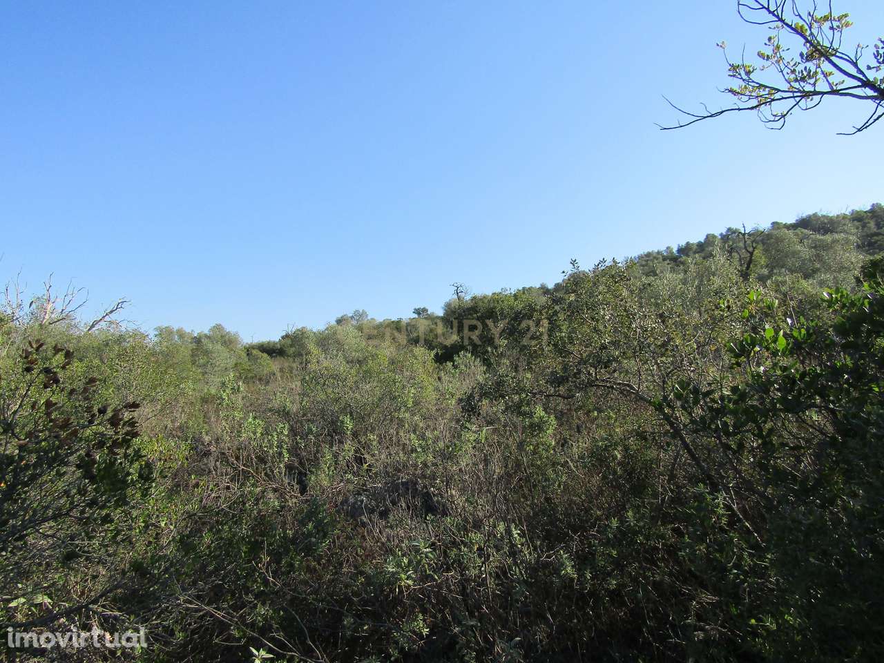 Terreno Rústico - Grande imagem: 4/8