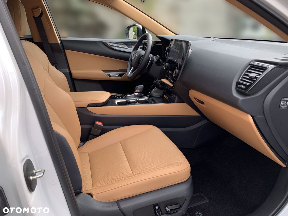 Lexus NX - 19