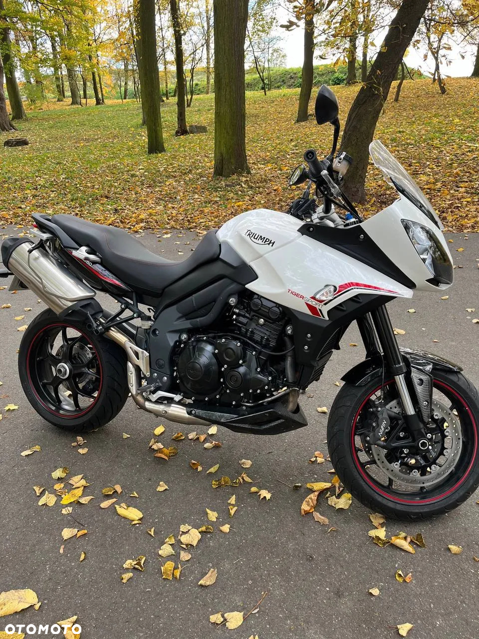Triumph Tiger - 4