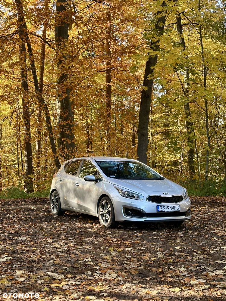 Kia Ceed - 15