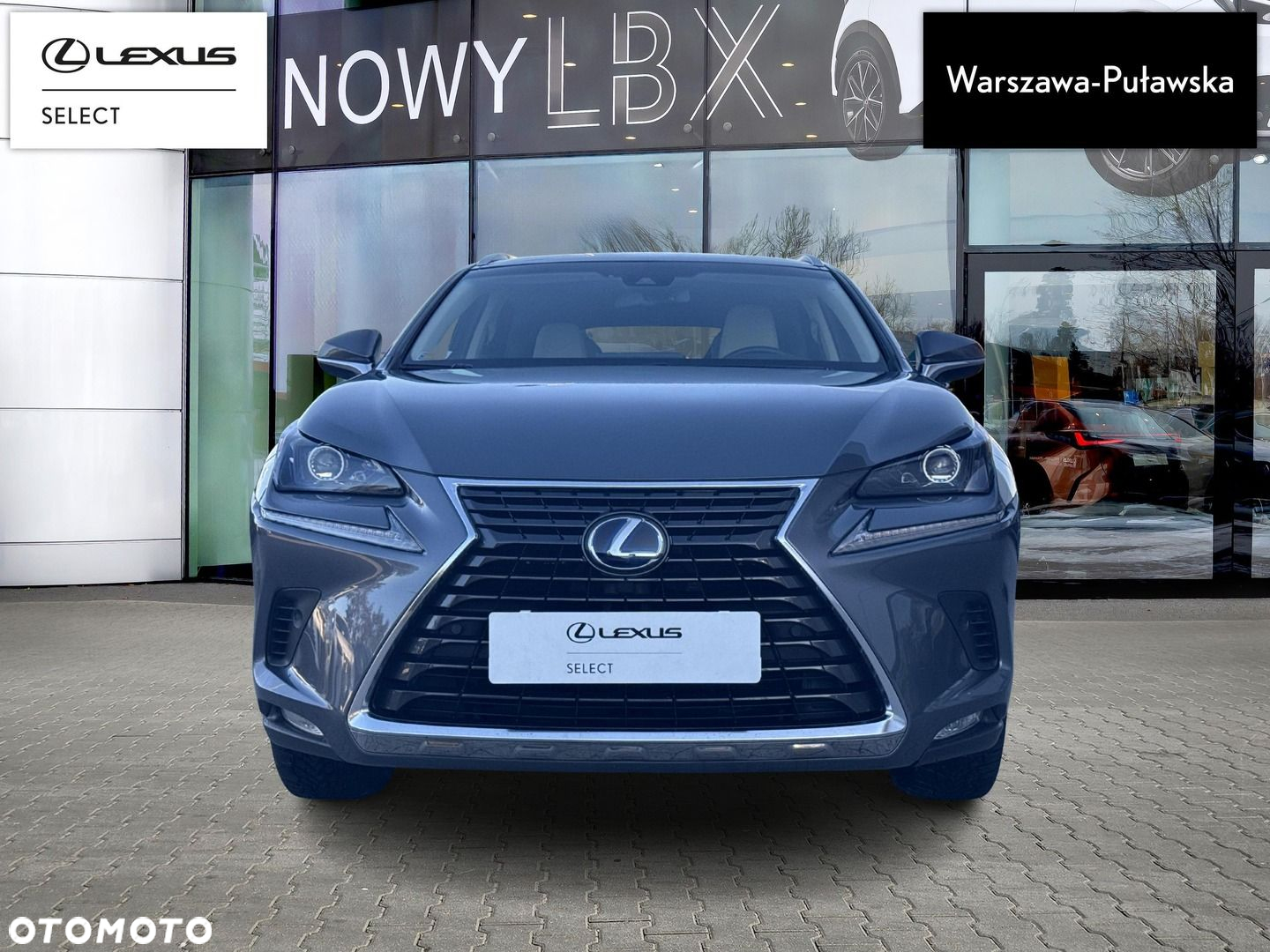 Lexus NX - 6