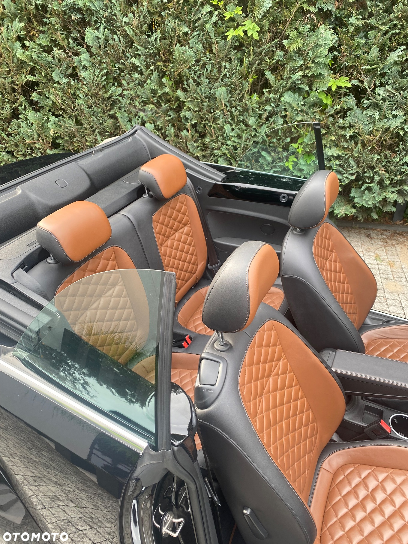 Volkswagen Beetle - 14