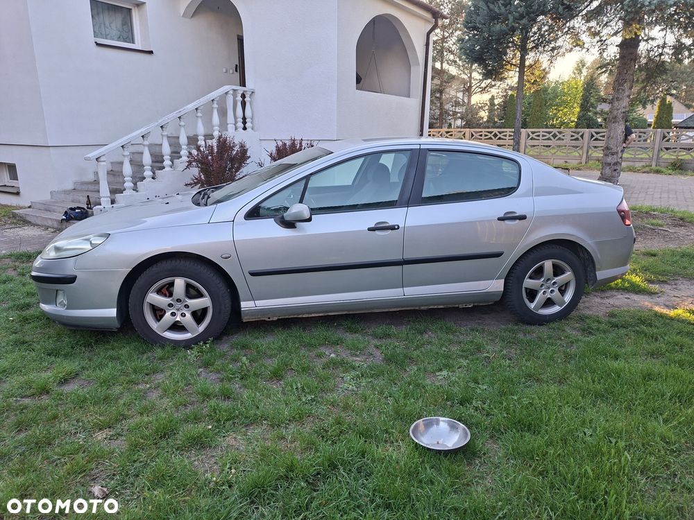 Peugeot 407 - 3