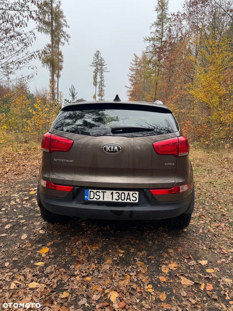 Kia Sportage - 6