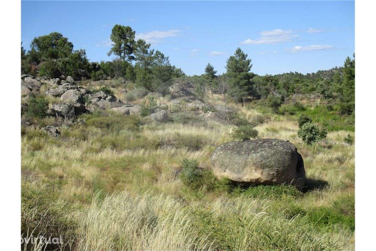 Quinta T0 para venda - Grande imagem: 4/26