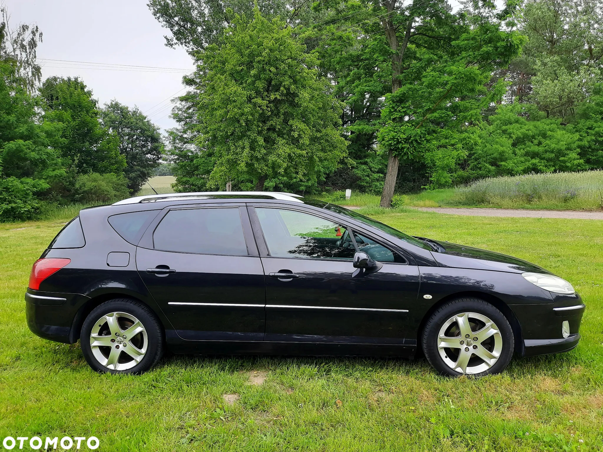 Peugeot 407 SW 140 Esplanade - 10