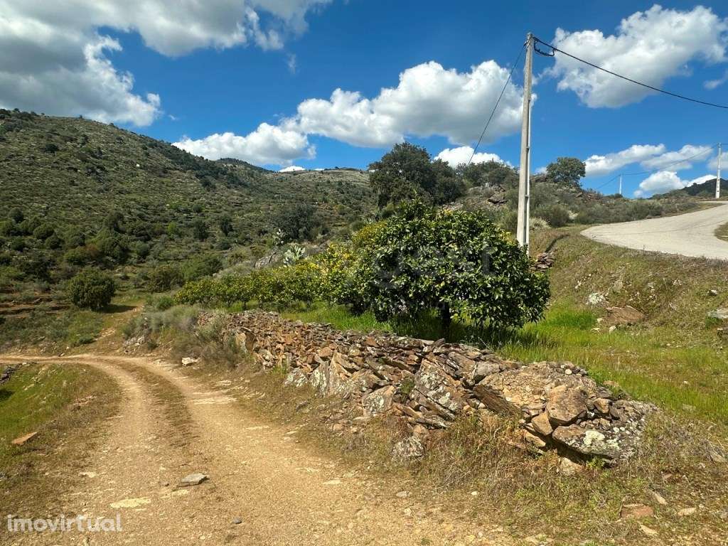 Magnifico terreno agricola em Mazouco com Vistas deslumbrantes para... - Grande imagem: 5/15