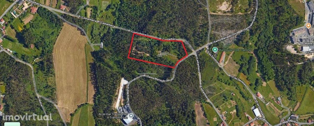 Terreno rústico com 24450m2 em Olival, Vila Nova de Gaia. - Grande imagem: 4/9