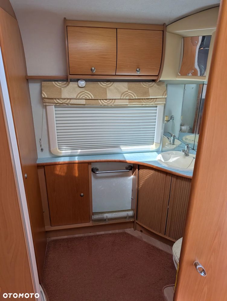 Avondale Golden Avocet - 11