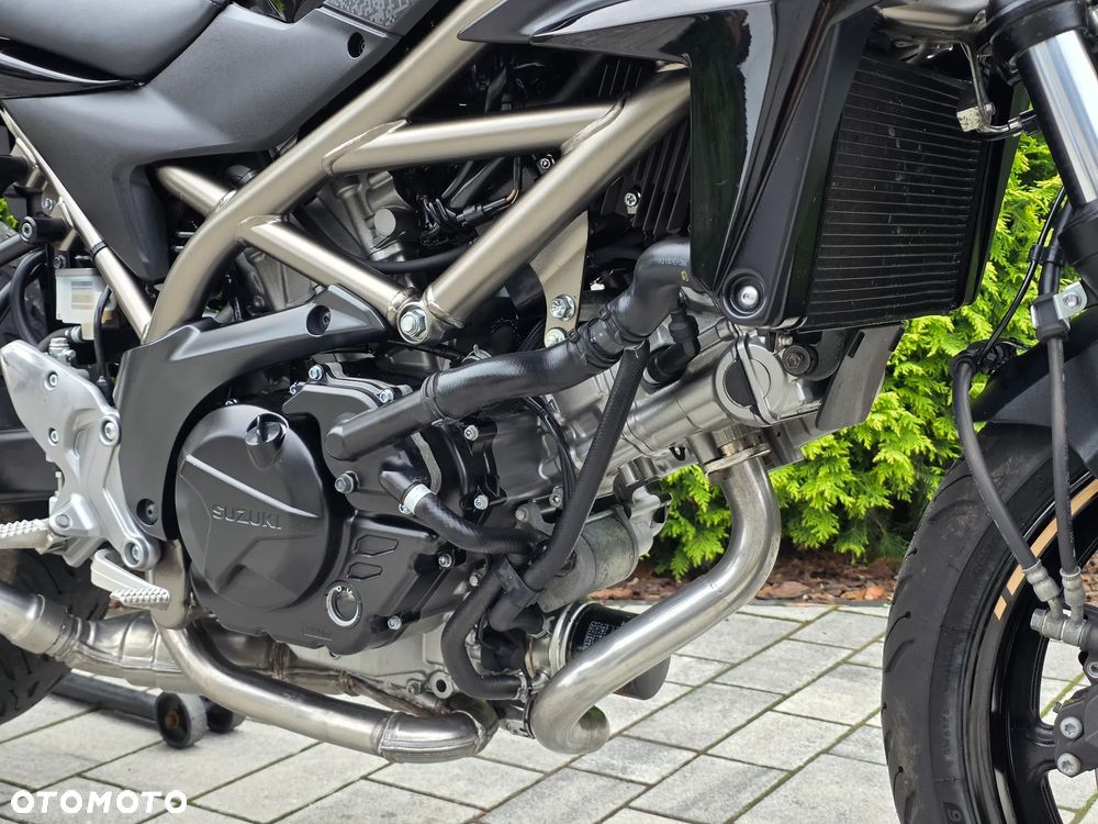 Suzuki SV - 8