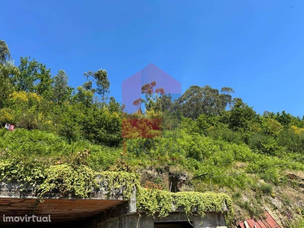 Terreno Florestal, Sande - Grande imagem: 3/8