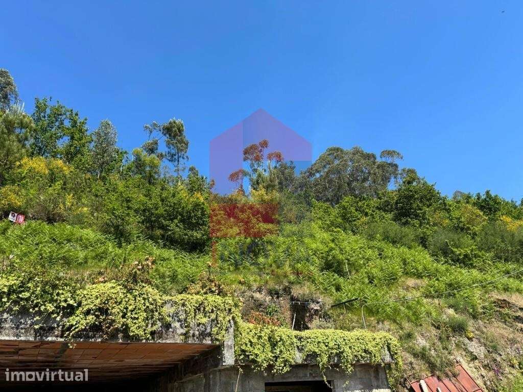 Terreno Florestal, Sande - Grande imagem: 3/8