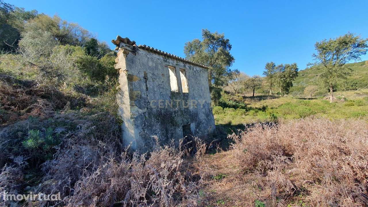 Quinta com 24.560m2 | Arruda dos Vinhos - Grande imagem: 2/7