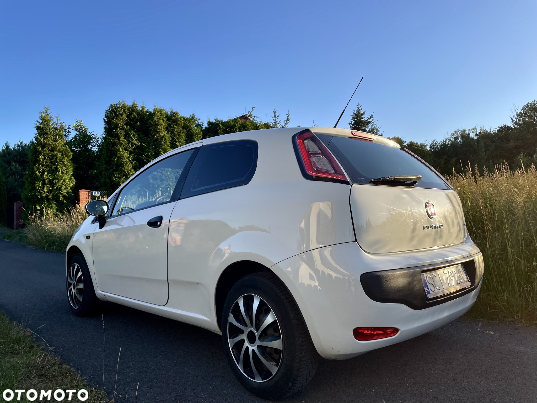 Fiat Punto Evo 1.3 Multijet 16V Active Euro5 - 5