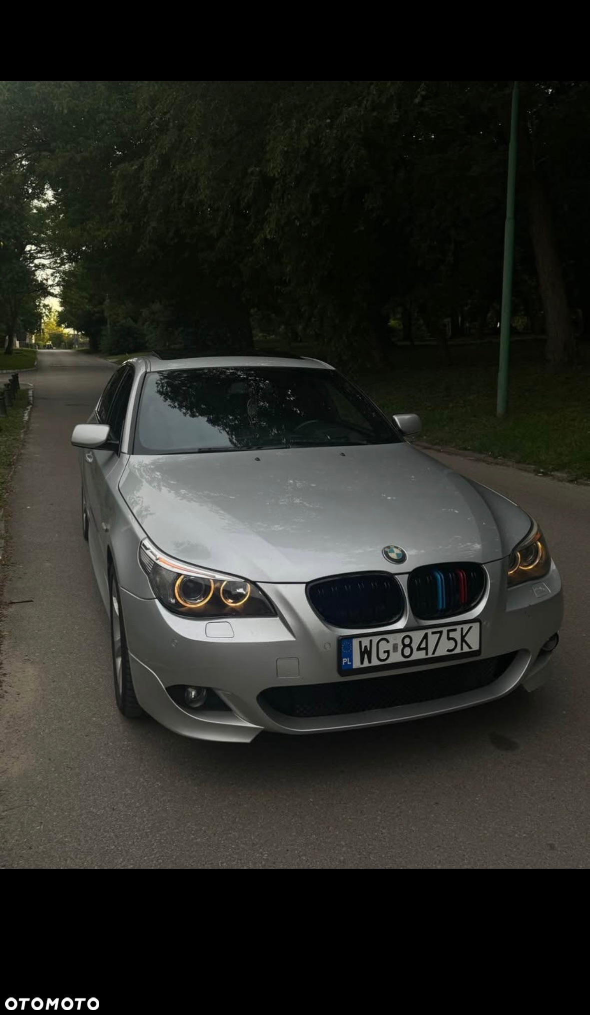 BMW Seria 5 545i - 5