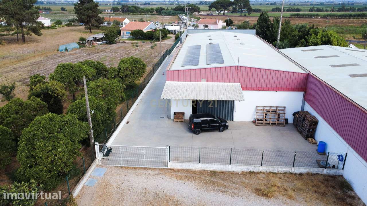 Armazém Industrial Moderno (992m²) em Salvaterra de Magos – Logística - Grande imagem: 2/11