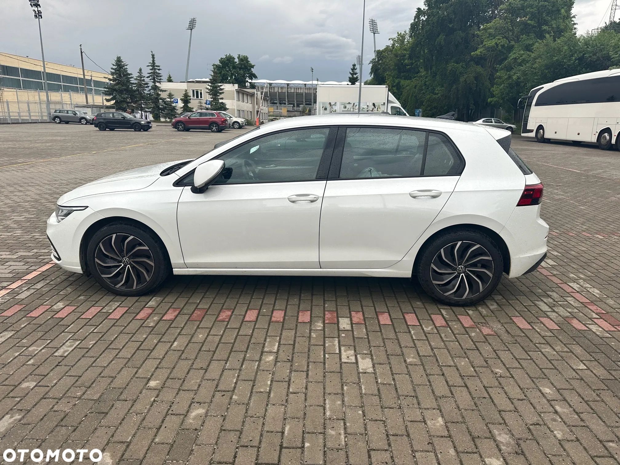 Volkswagen Golf VIII 1.5 TSI EVO Life - 1