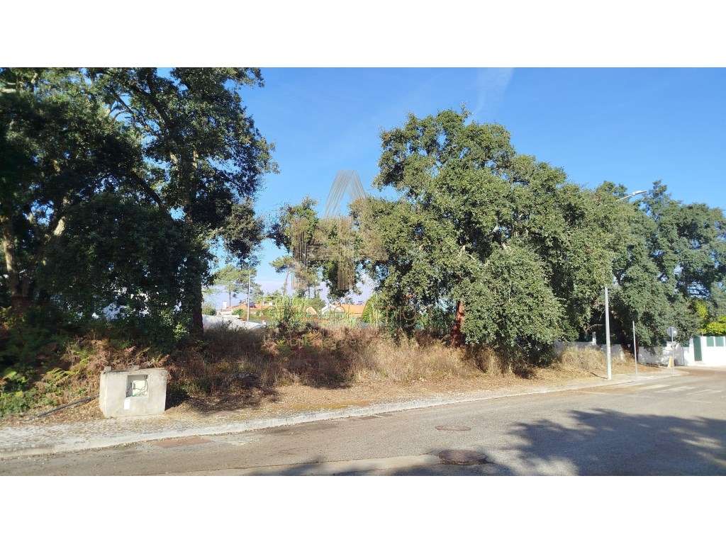 Excelente terreno em Sesimbra (Castelo) - Grande imagem: 5/11